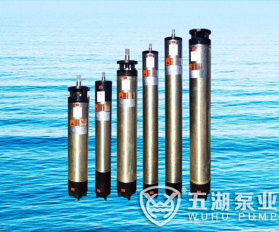 WHN/WHM series submersible motors with NEMA standardWHN/WHM submersible motors with NEMA standard