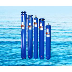 Submersible motors with RITZ Standard